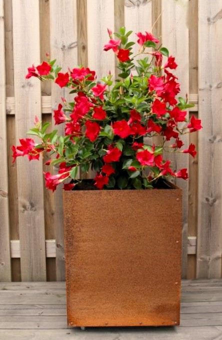 kruka i corten